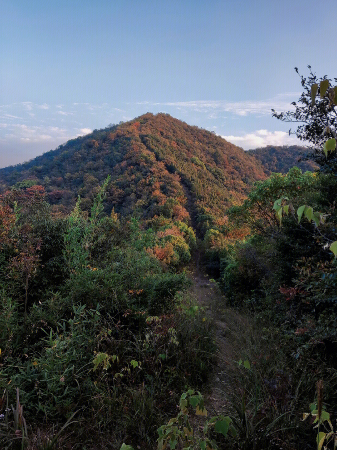 半山国家森林公园山脊林道