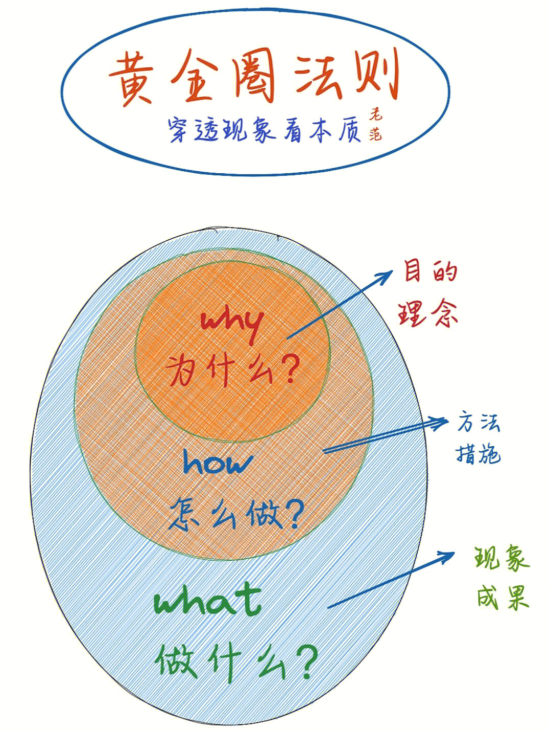 张文娟黄金圈图片