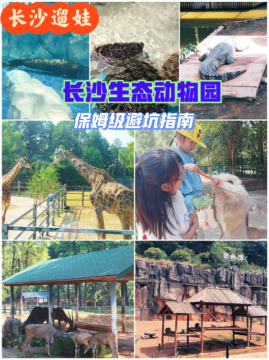 江西动物园排名图片