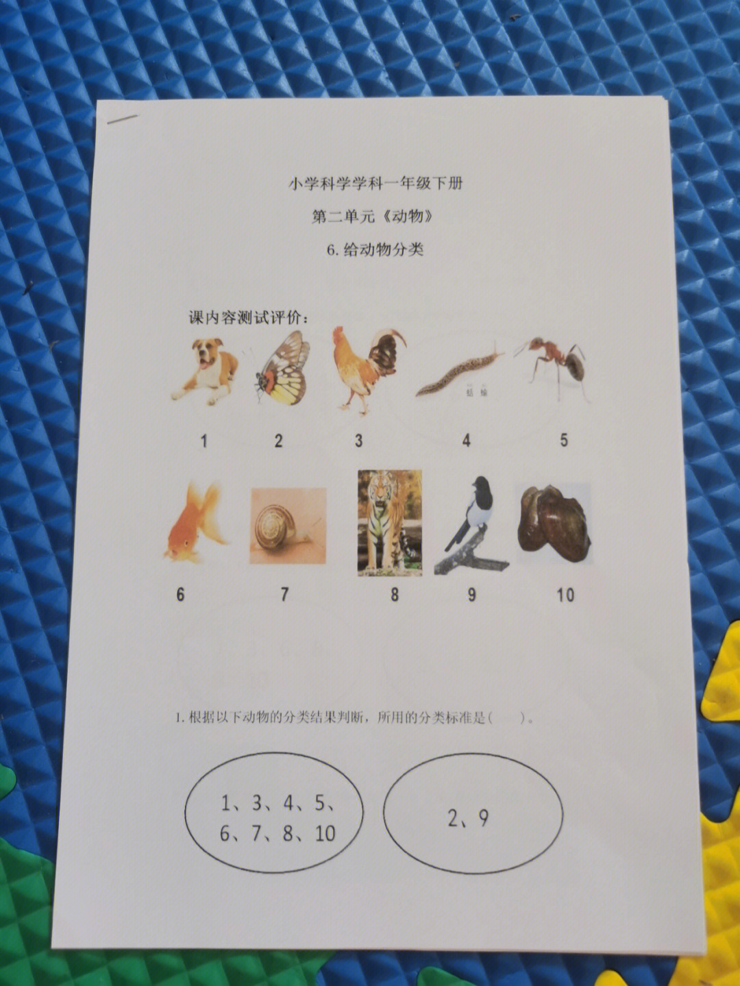 一年级科学图片