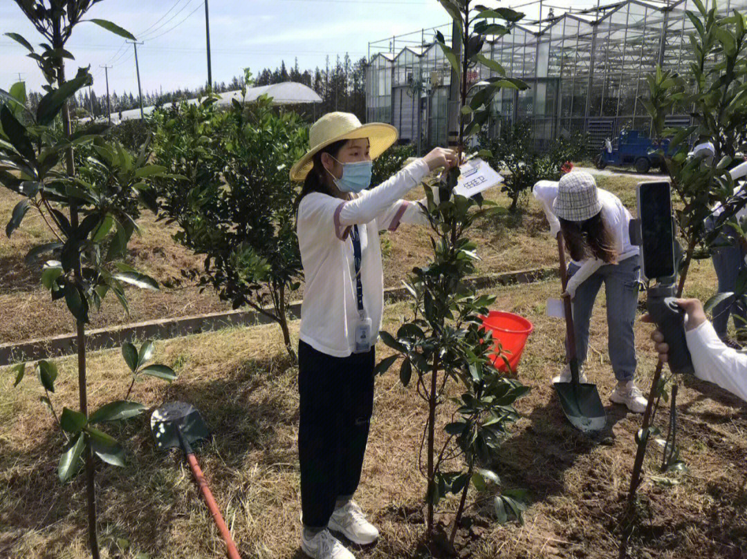 长兴岛郊野公园植树图片