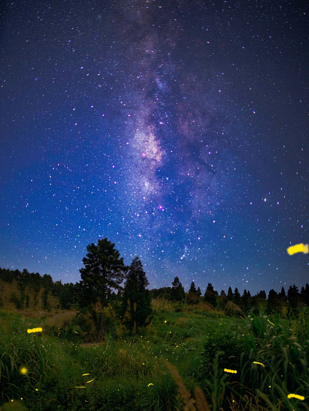 萤火虫星空体验馆图片