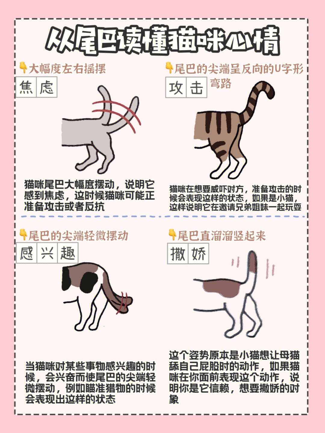 兔子的26种肢体语言图片