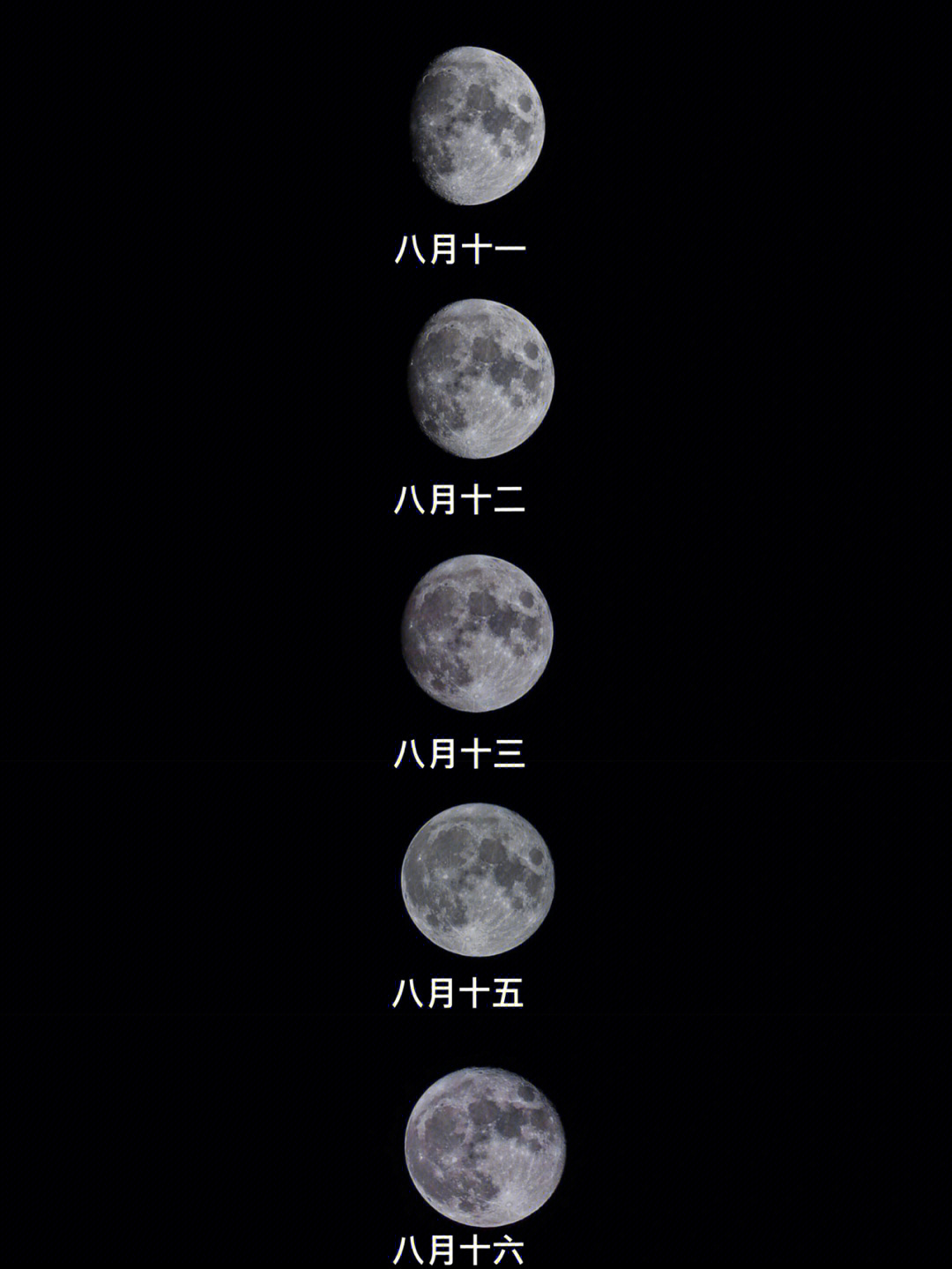 苹果11拍月亮参数图片