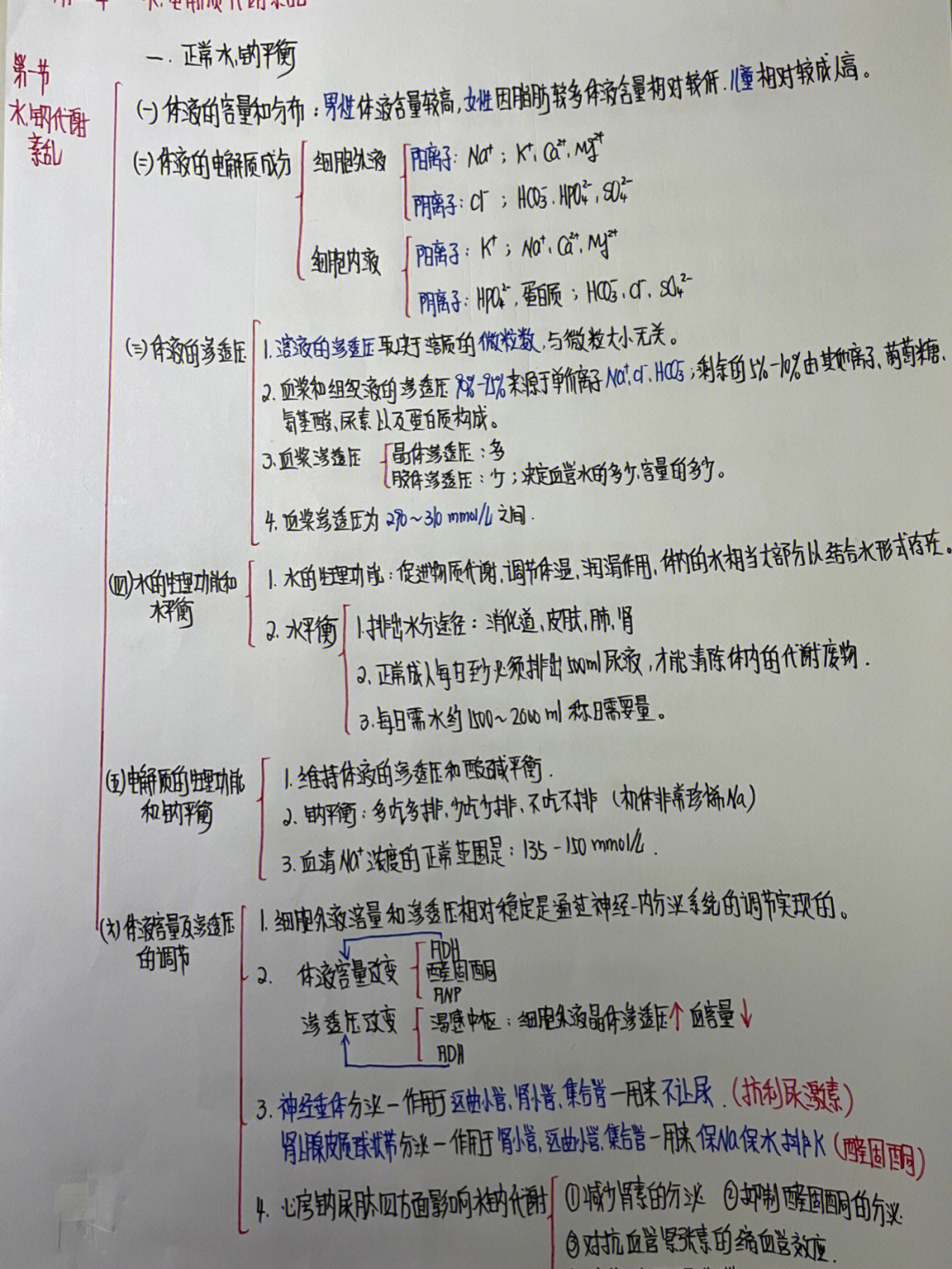 水代谢思维导图图片