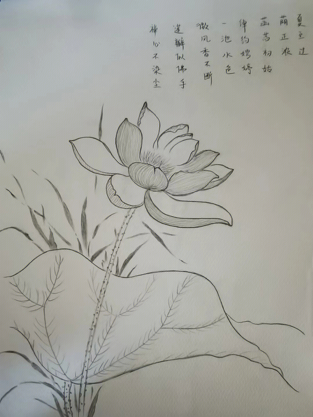 诗中有画画中有诗素描图片