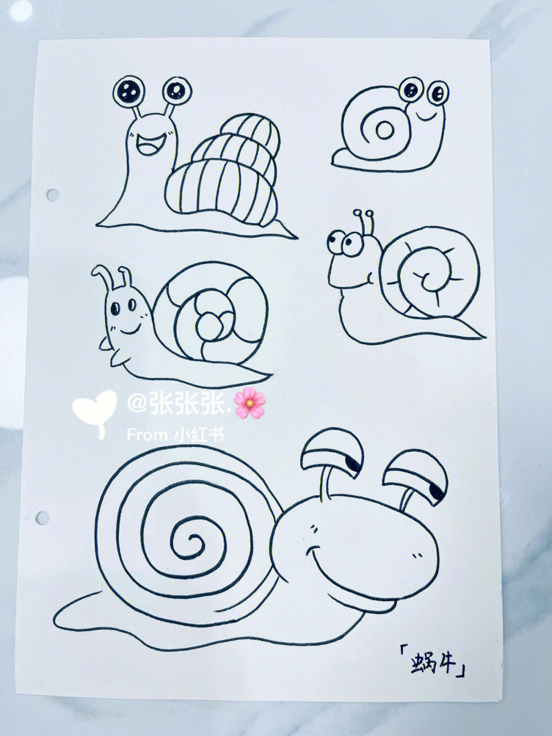 蜗牛图片简笔画 简单图片
