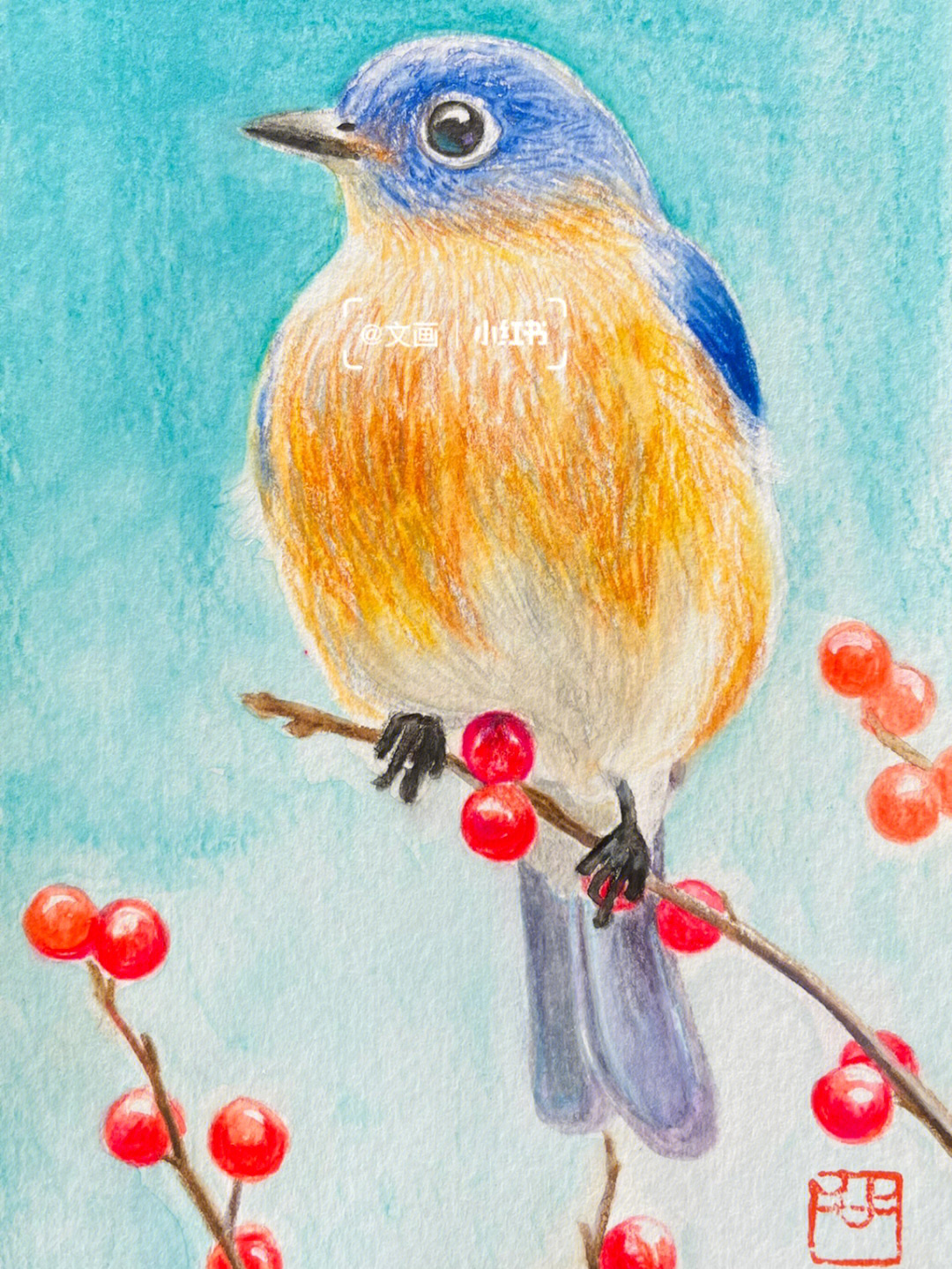 彩铅画可爱小鸟图片