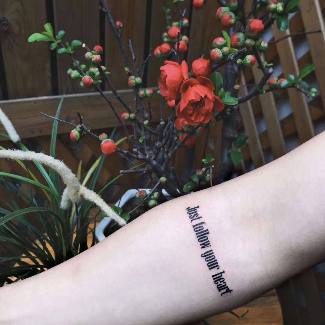 tattoo74字母纹身小清新