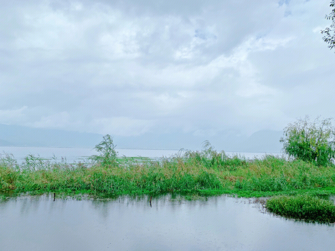 拉市海湿地