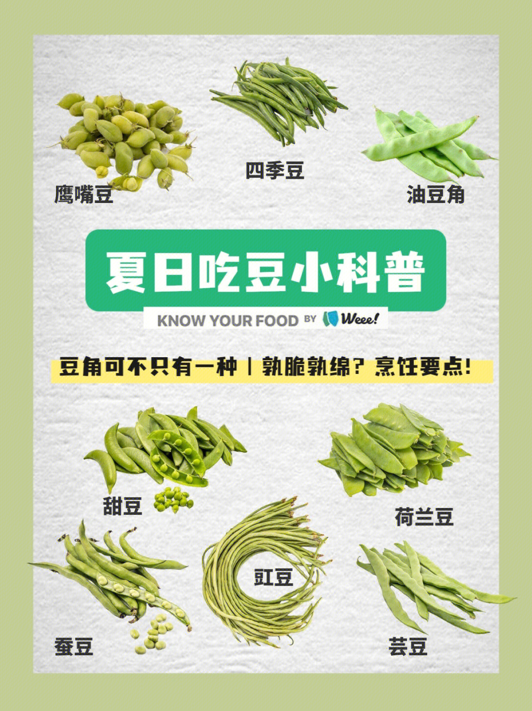 豆角名称大全图片