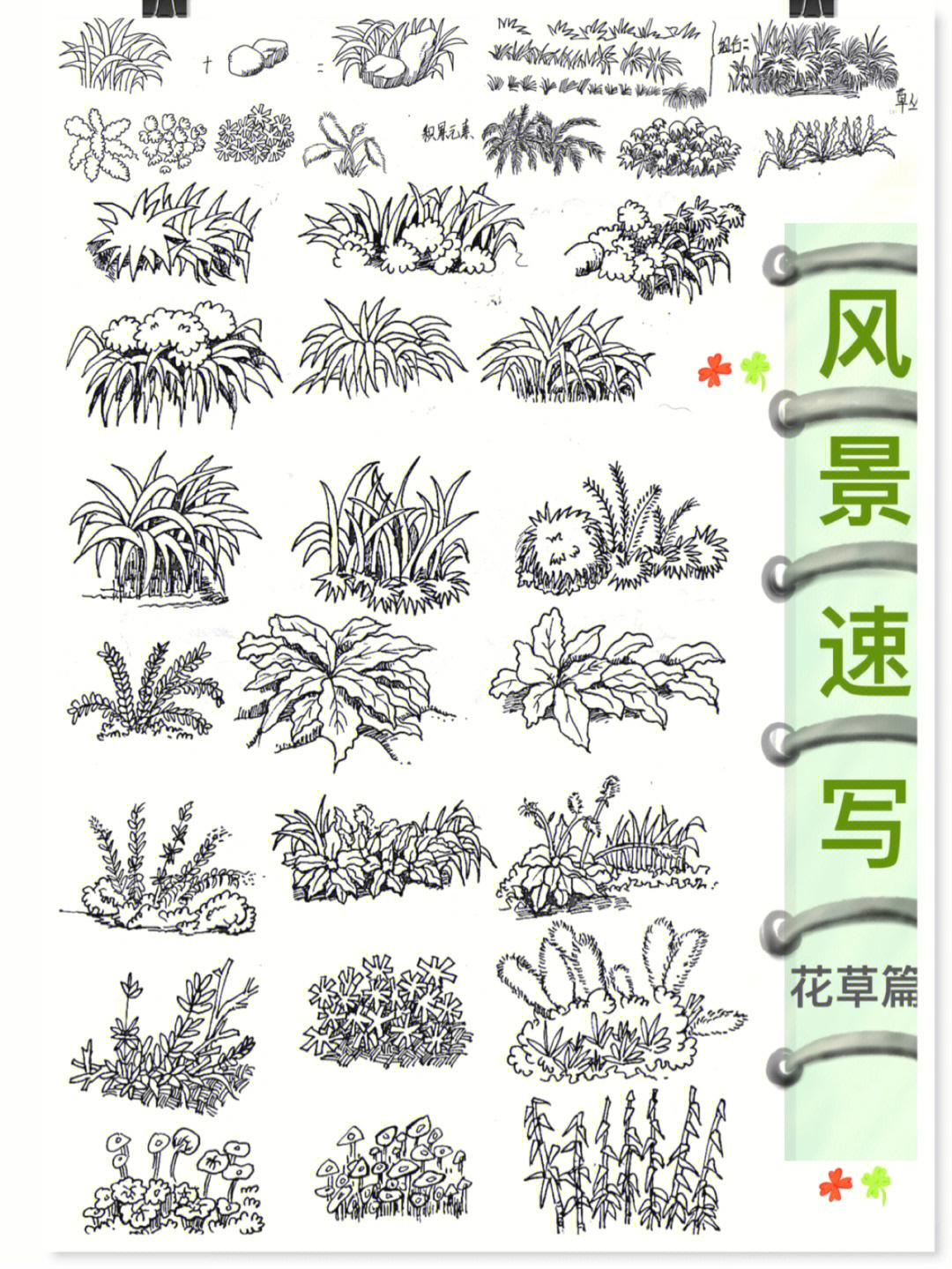 速写花草树木的画法图片