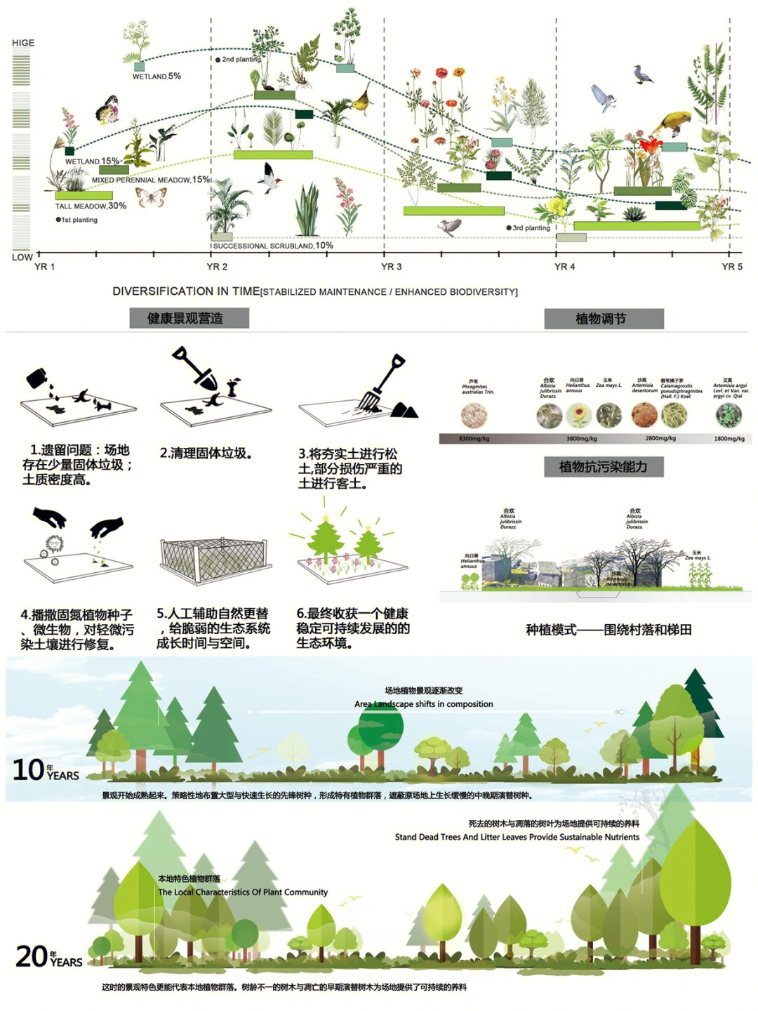 最新各类景观项目植物分析psd高清分层图