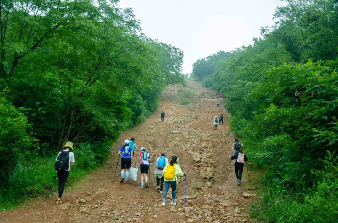 8小时20公里,象鼻窝桃花岭岳麓山连穿,象鼻窝的最美山脊山,桃花岭的三