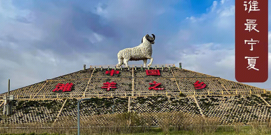 四上国宴顶级食材宁夏滩羊自有牧场空运飞