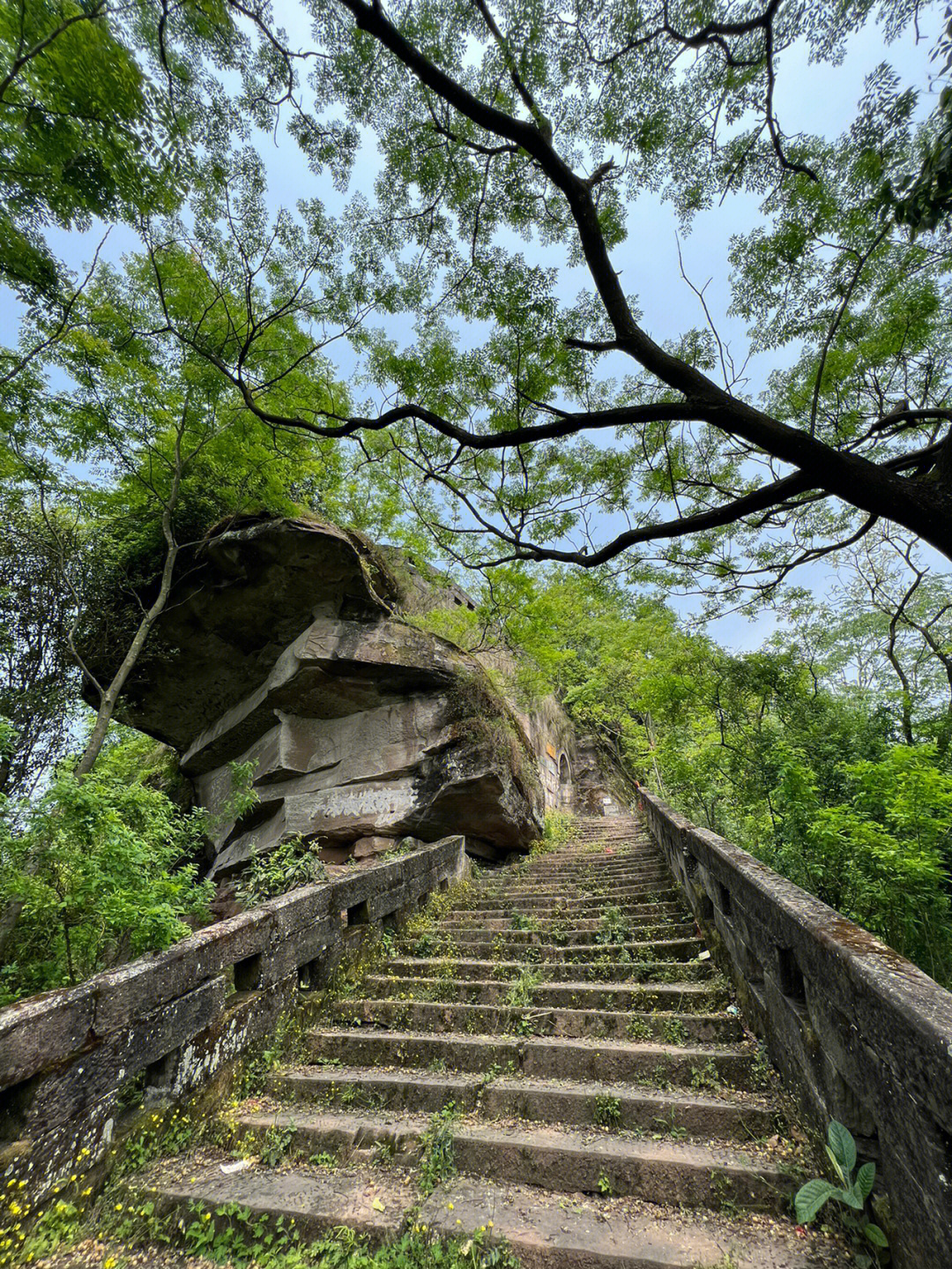 龙多山地图图片