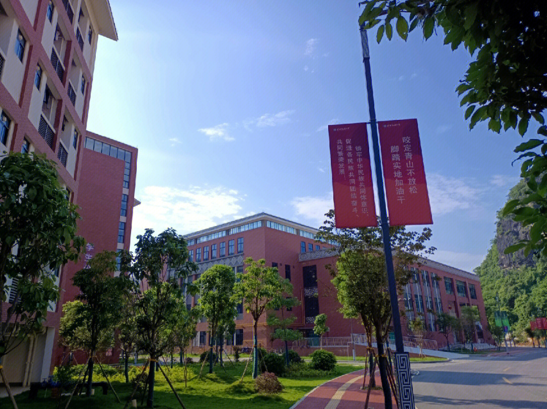 广西民族大学搬去武鸣图片