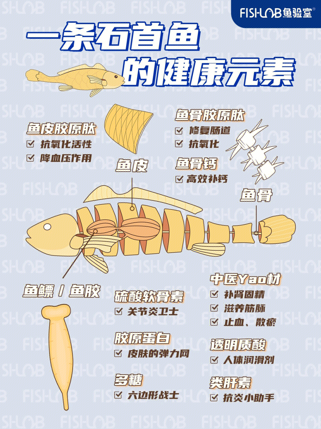 吃花胶是智商税63上百篇文献总结石首鱼营养