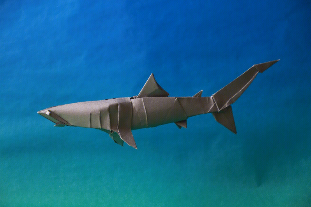 折一只立体鲨鱼 高级图片