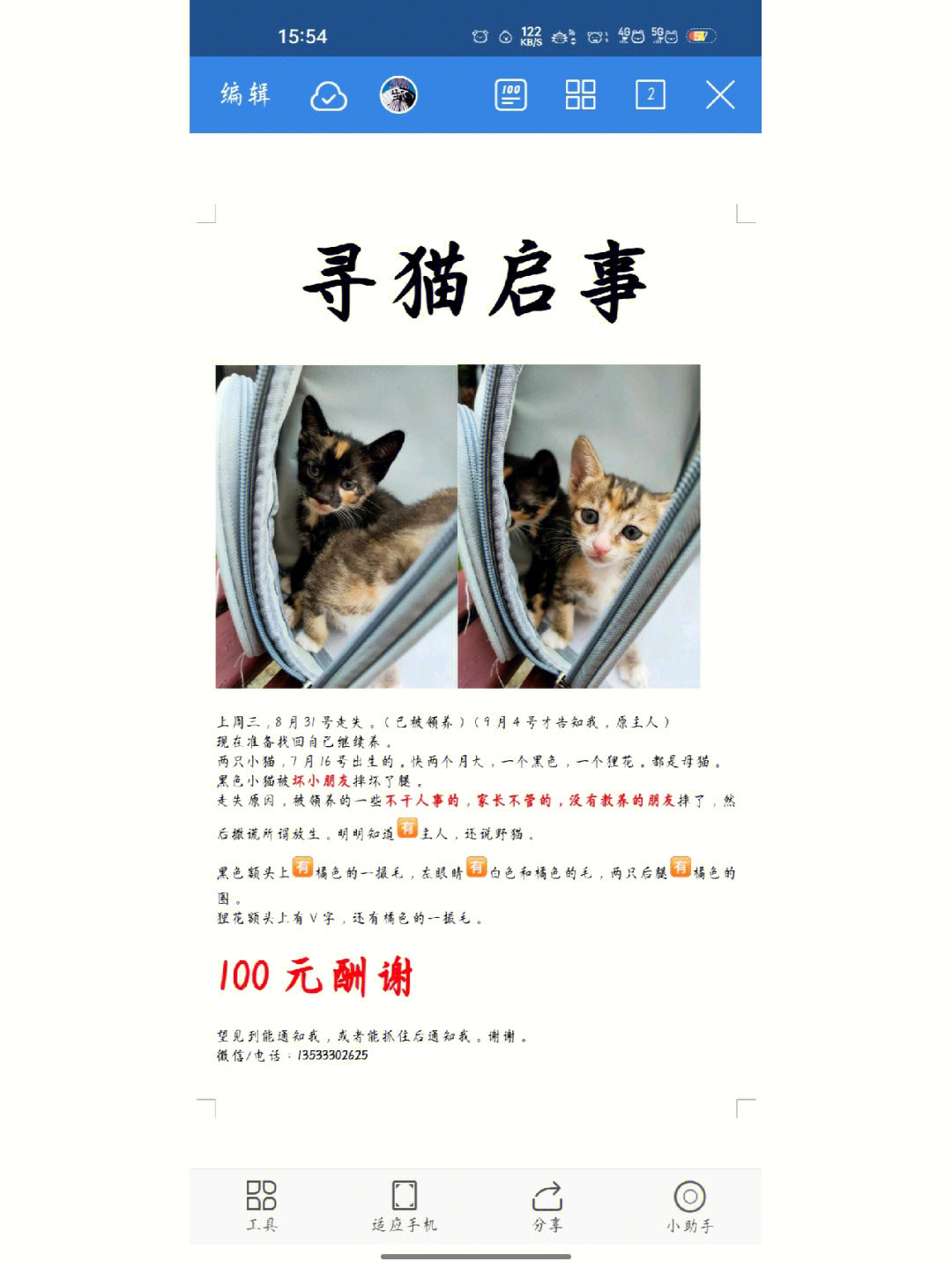 寻猫主人告示图片