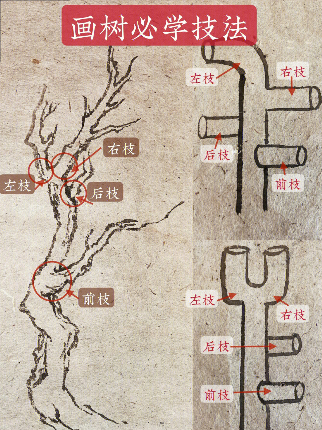 树枝画法一步一步图片