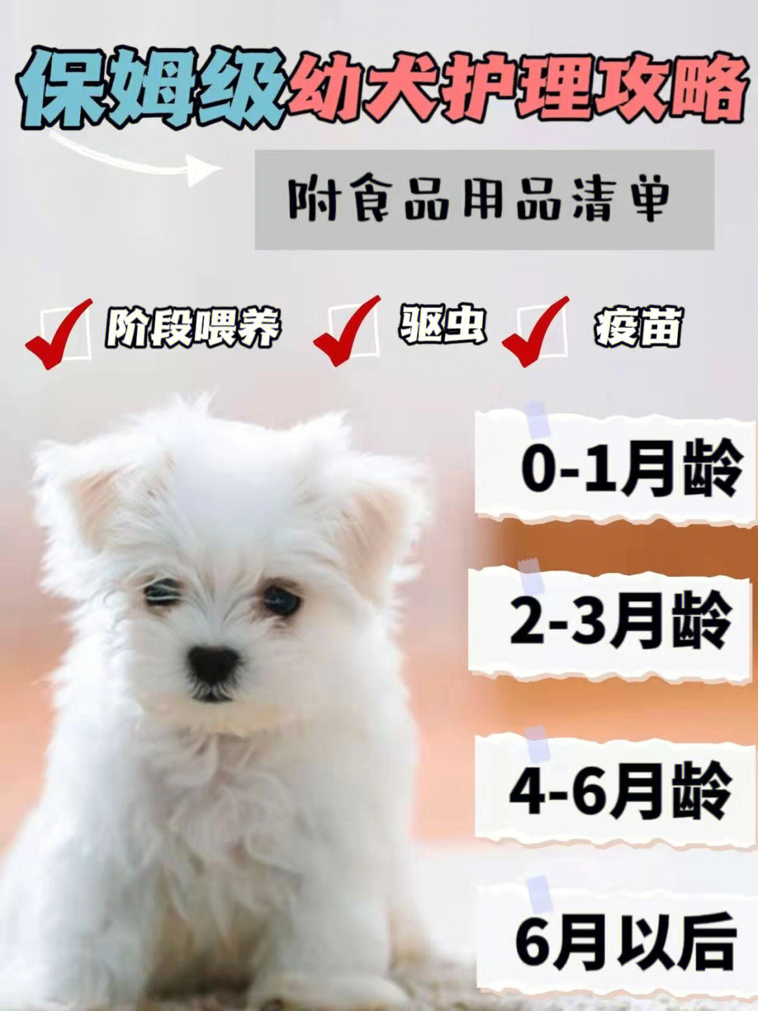 新手养狗012月幼犬喂养指南