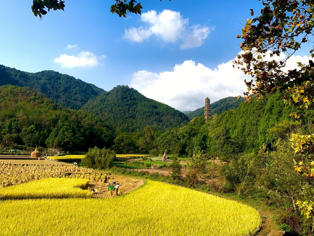 秋日里的国清寺