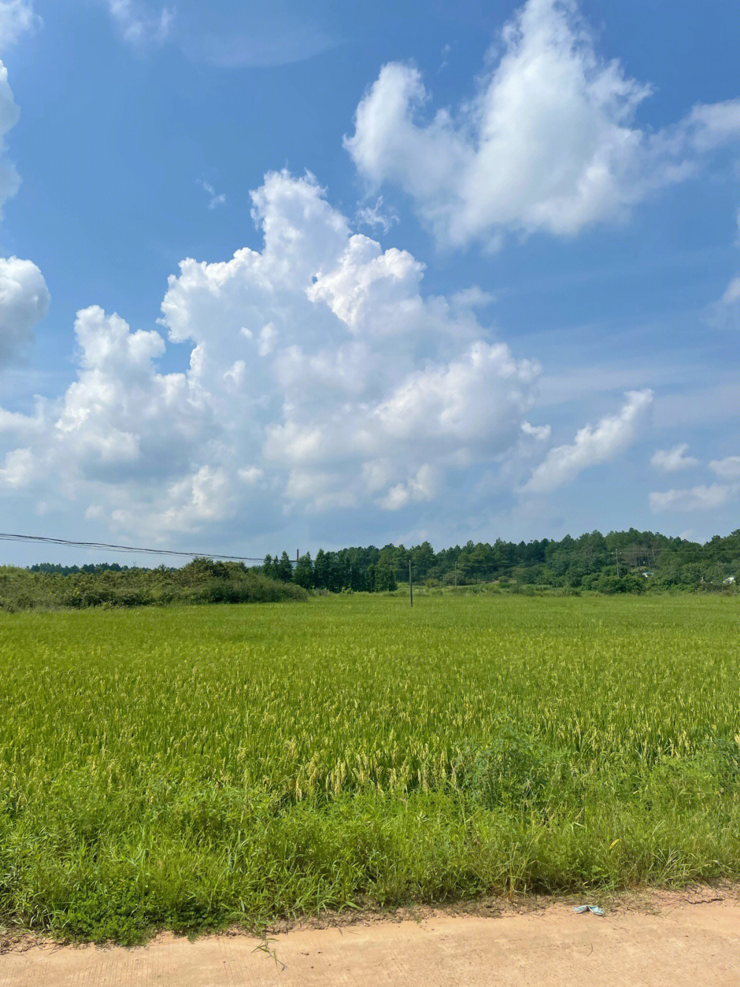 老家自拍风景