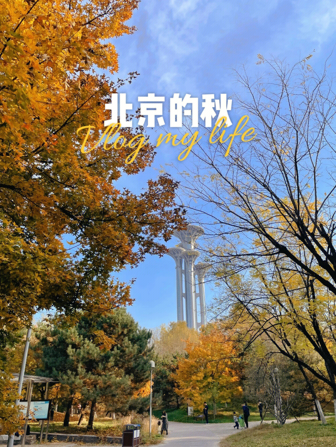 打卡北京奥林匹克森林公园