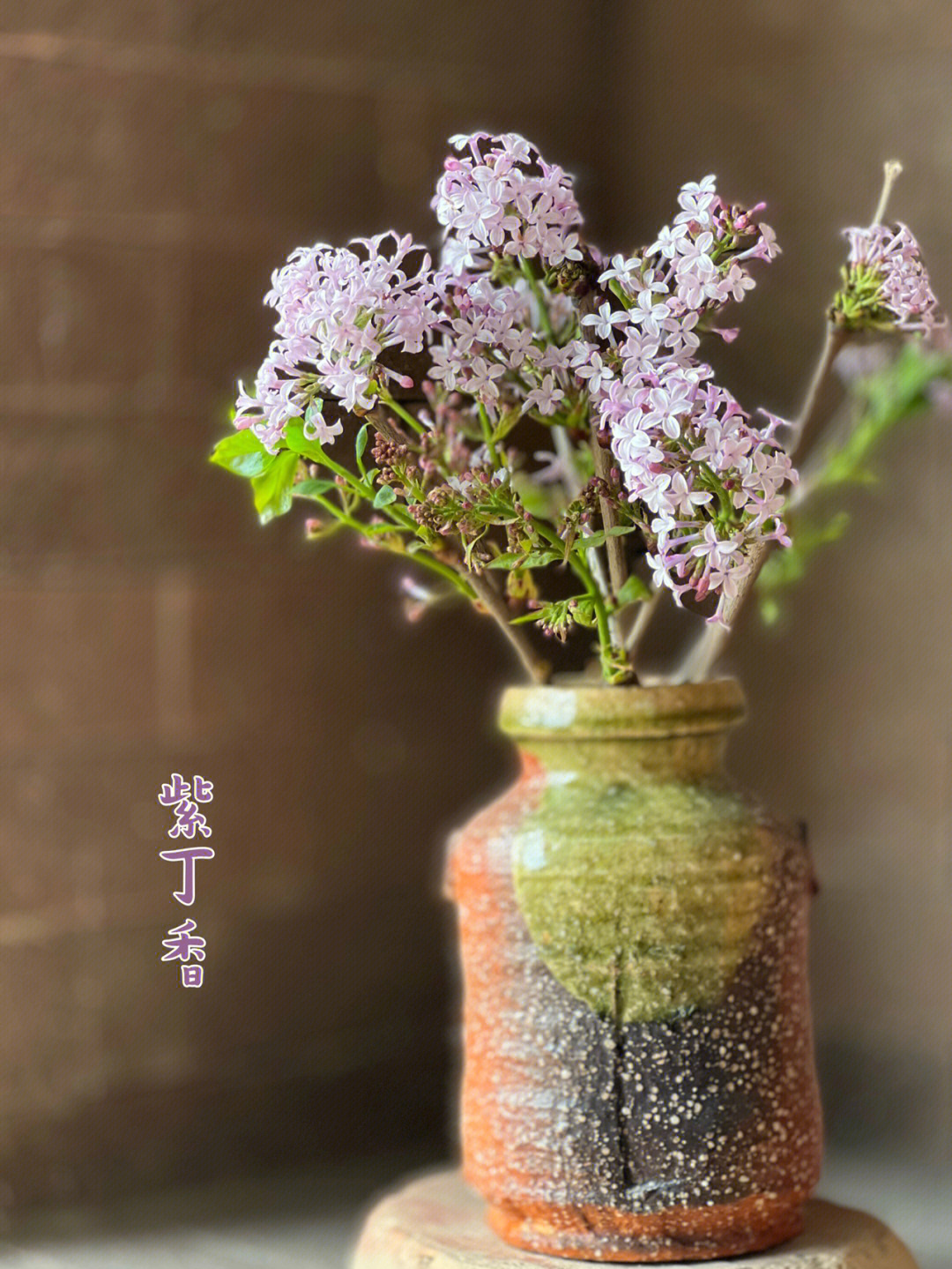 丁香花