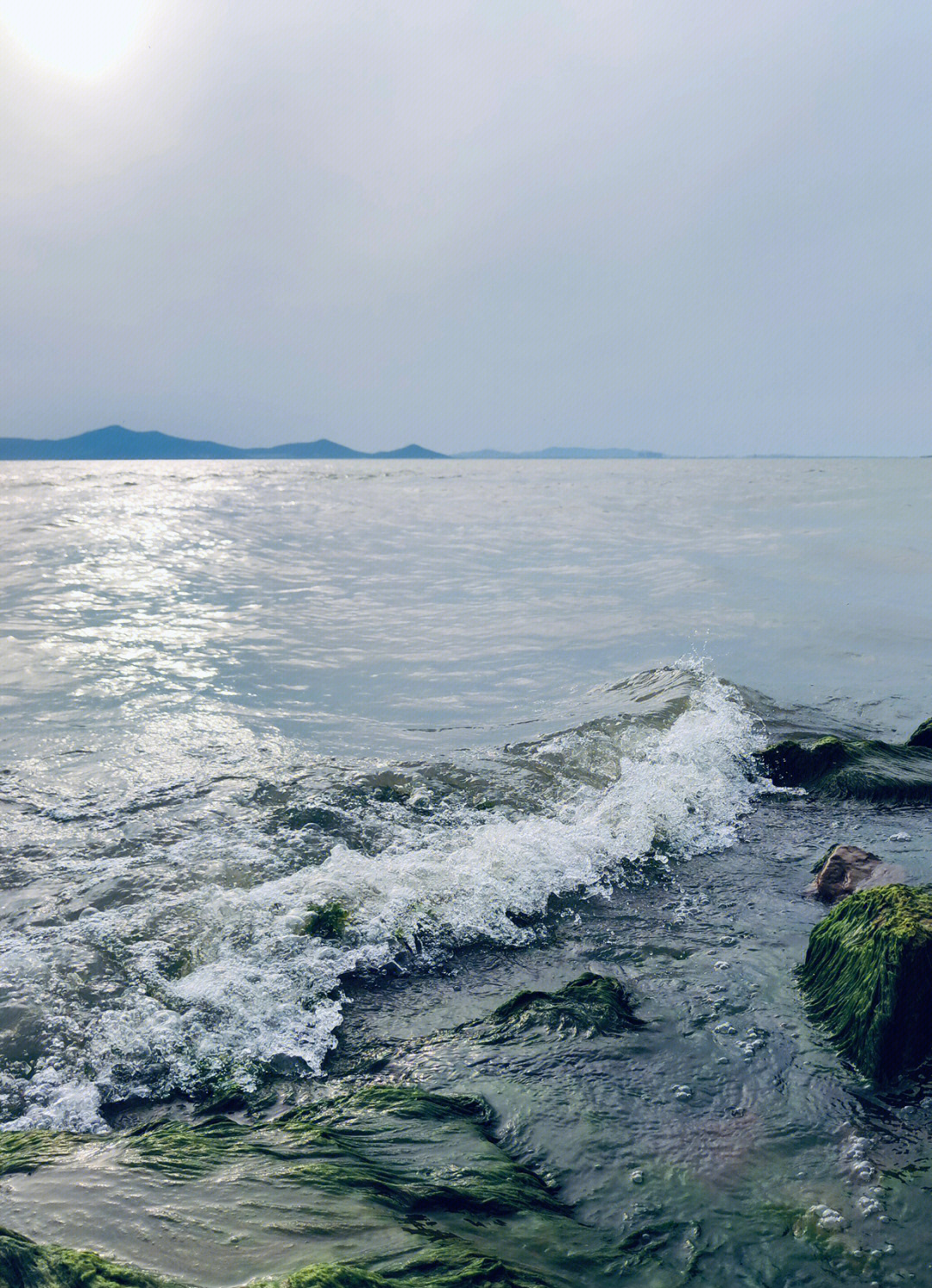 红沙湾农家乐图片