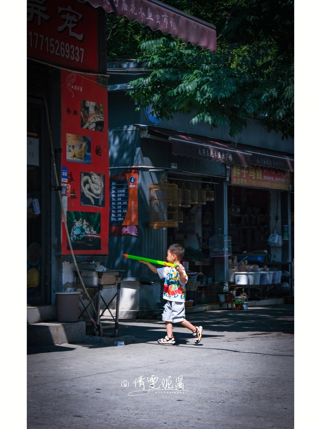 南京夫子庙花鸟市场图片