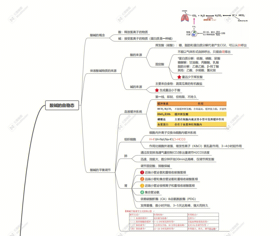 病生酸碱思维导图图片