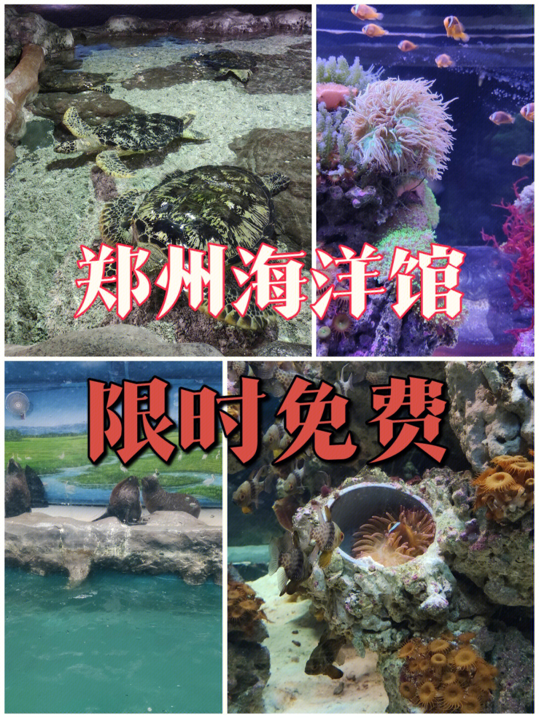 郑州海洋馆路线图片