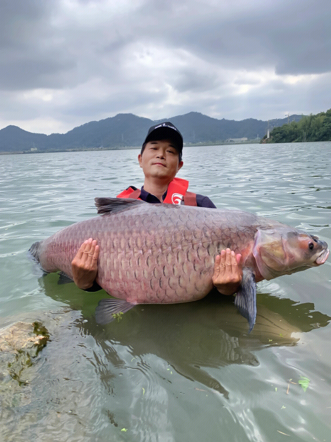 天元邓刚公司图片