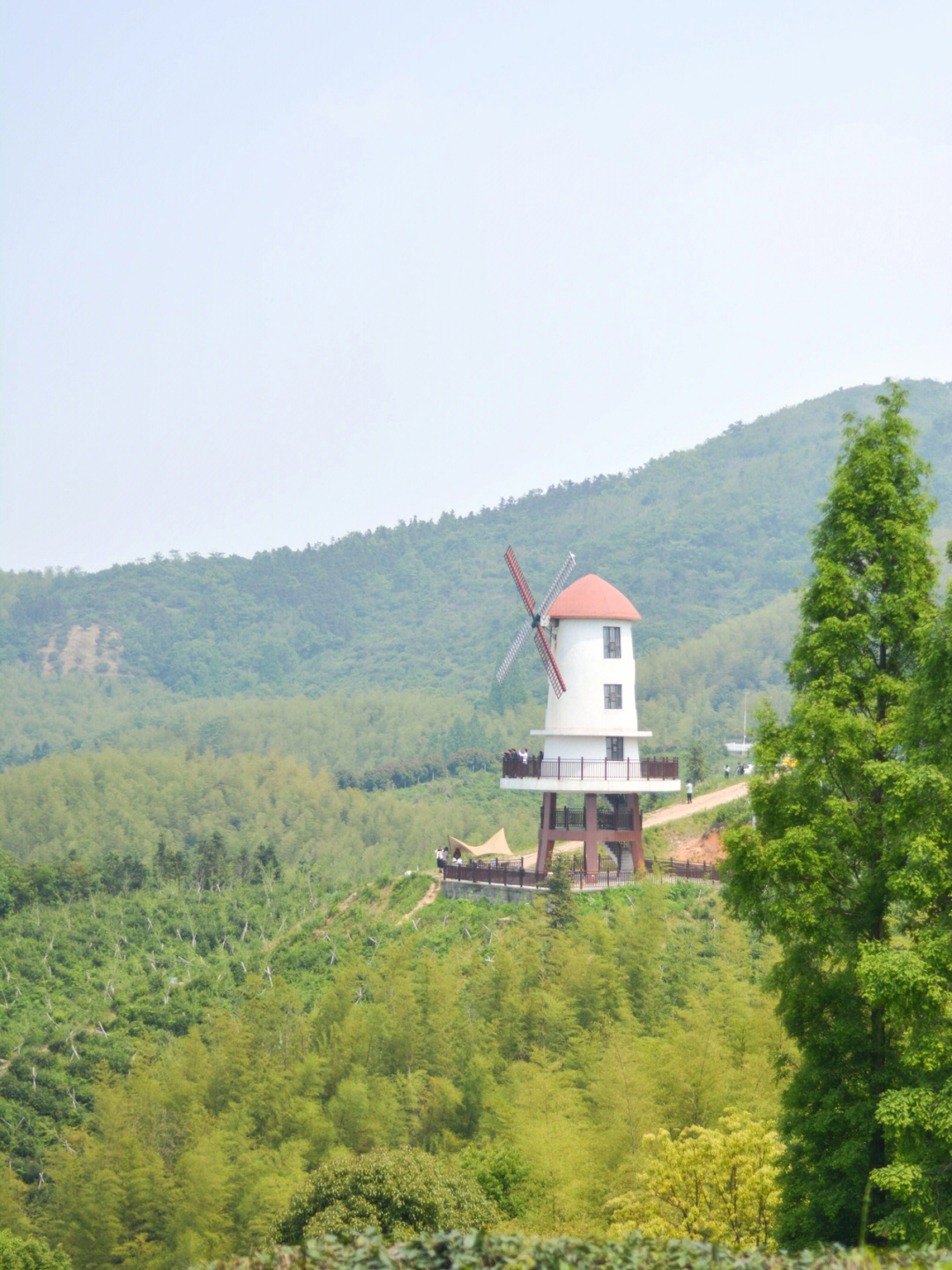 带娃拍遍宁波五一出游慈溪宝藏地岗墩古道