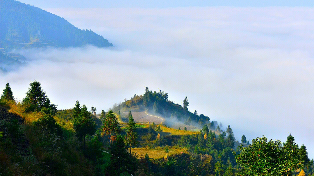 贵州雷公山原始森林