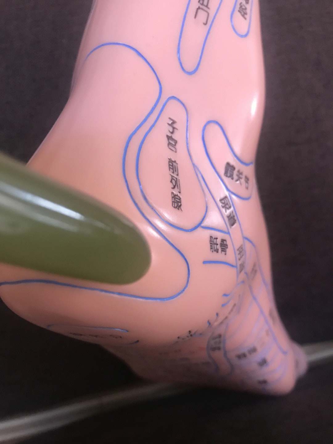 足底胰腺反射区位置图图片