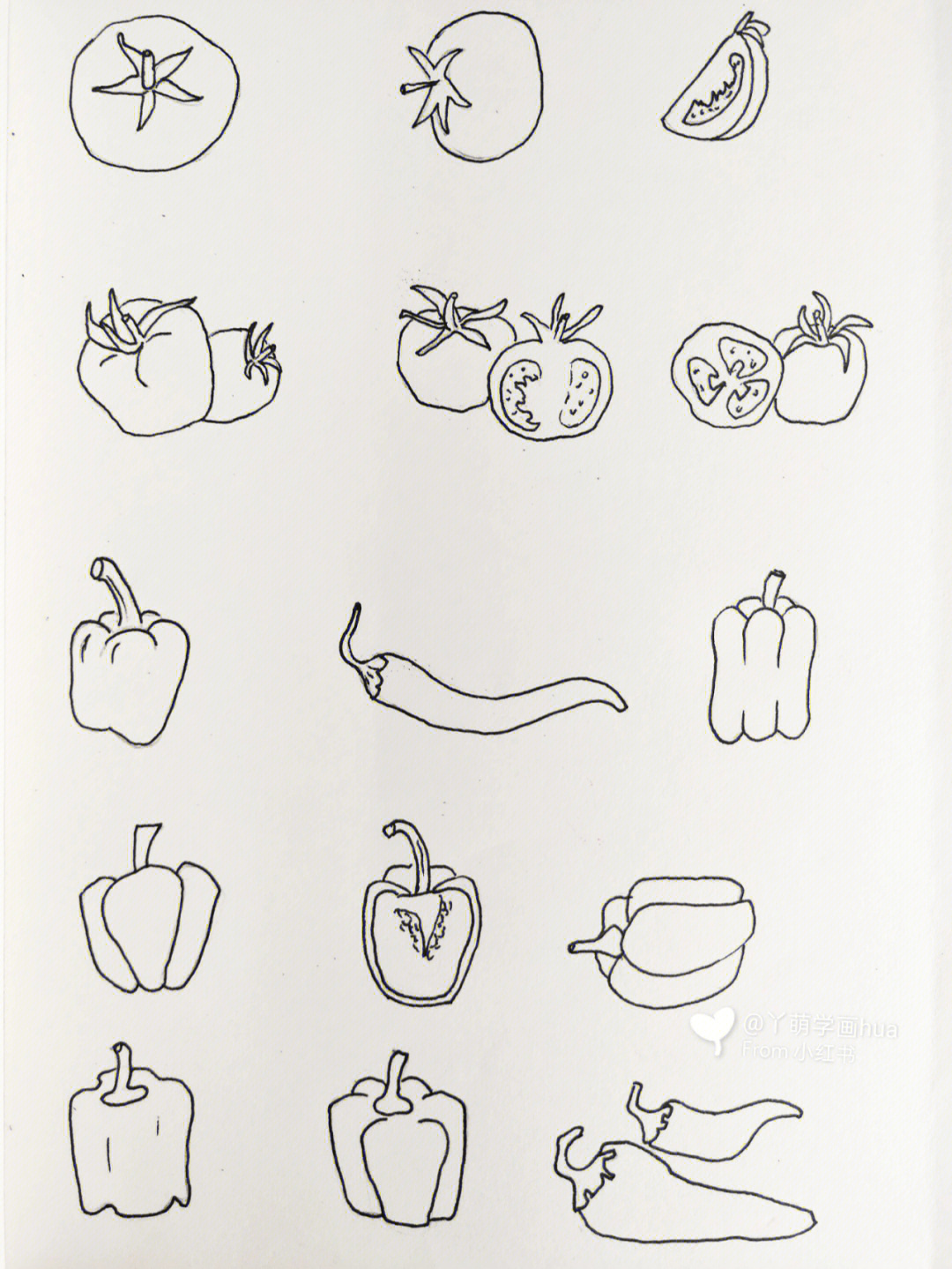 20种蔬菜简笔画简单图片
