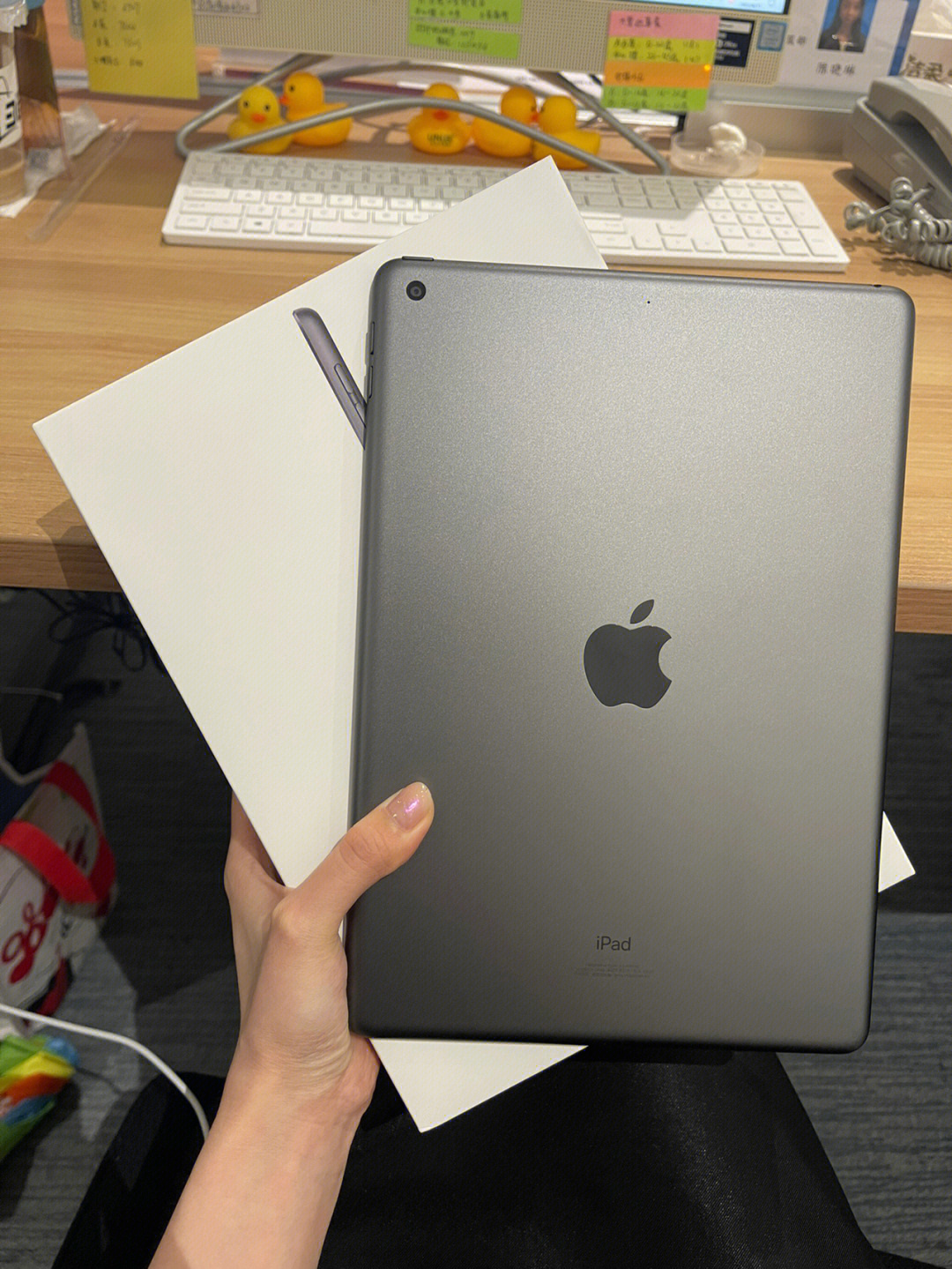 入手ipad9