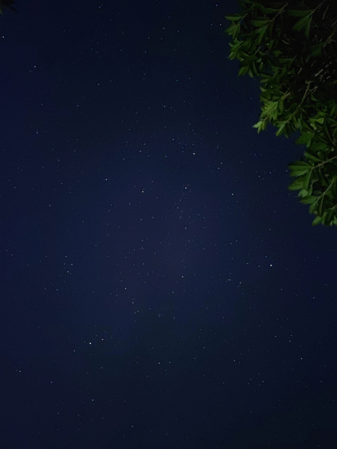 小米11ultra拍星空图片