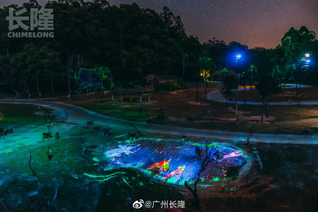 夜间动物园游记图片