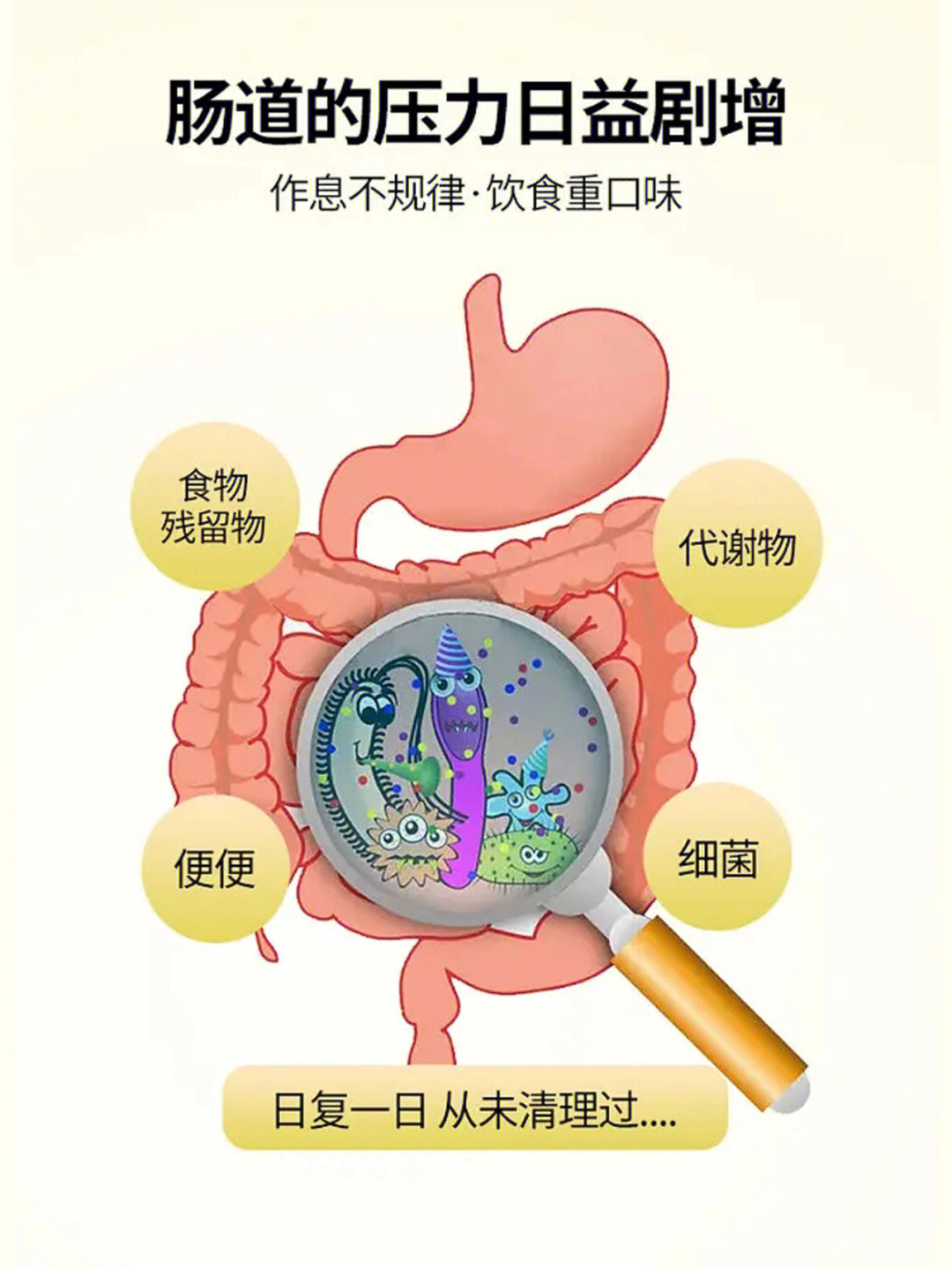 500亿活菌拯救失衡肠道