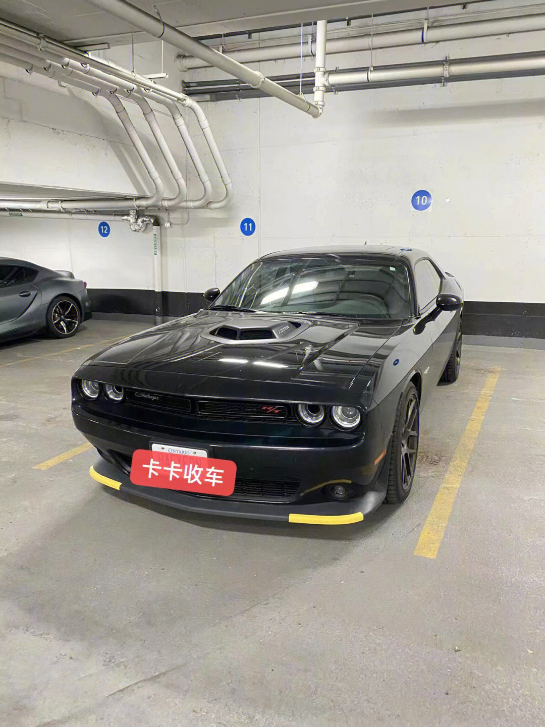 dodgechallenger图片