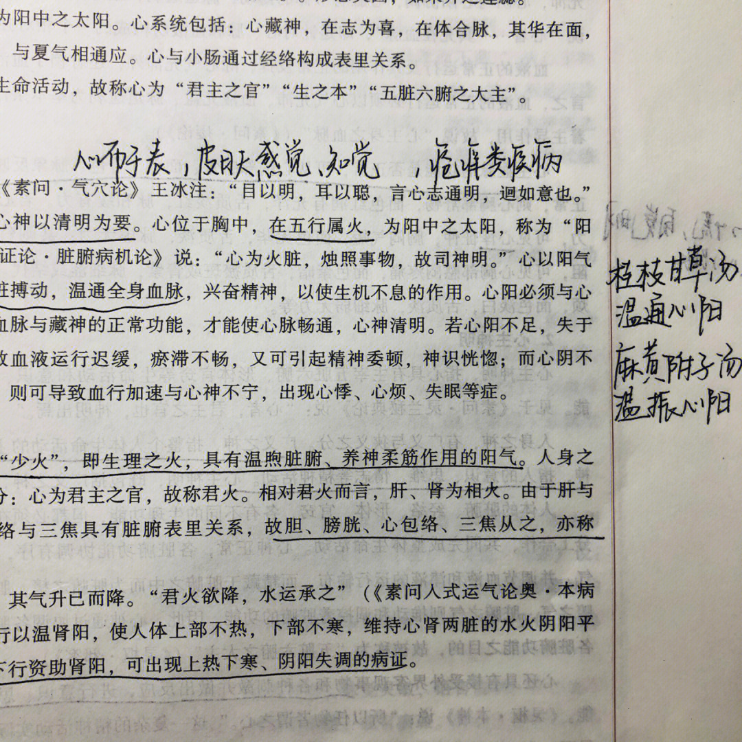 参附龙骨牡蛎汤组成图片