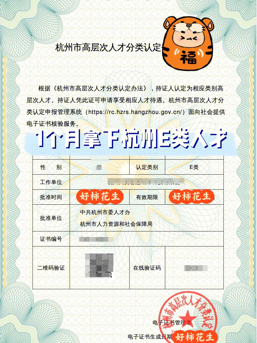 拿到软考高项的证书后,我迫不及待申请了杭州市e类人才,提交了一堆