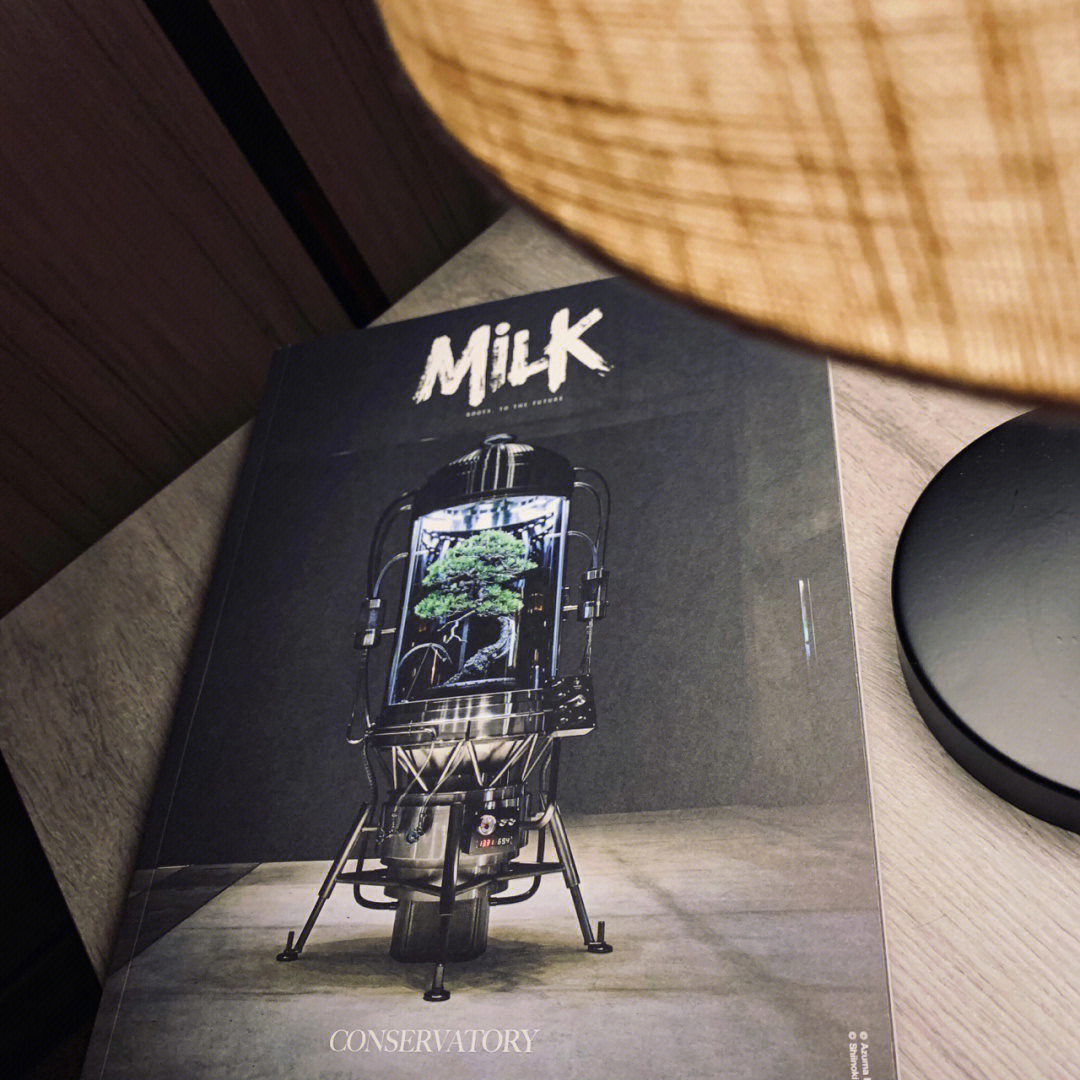 milk杂志停刊图片