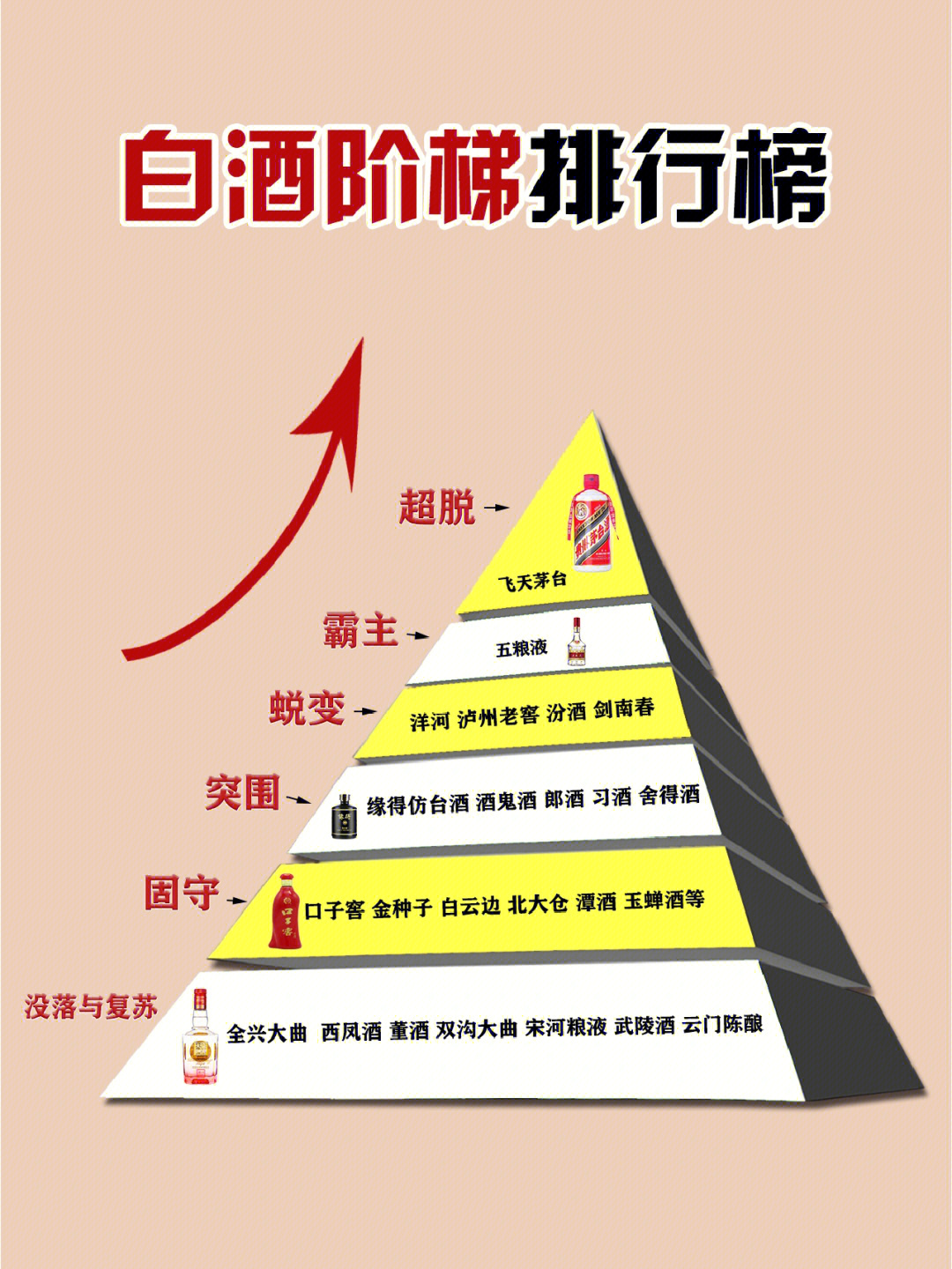 中国白酒阶梯图