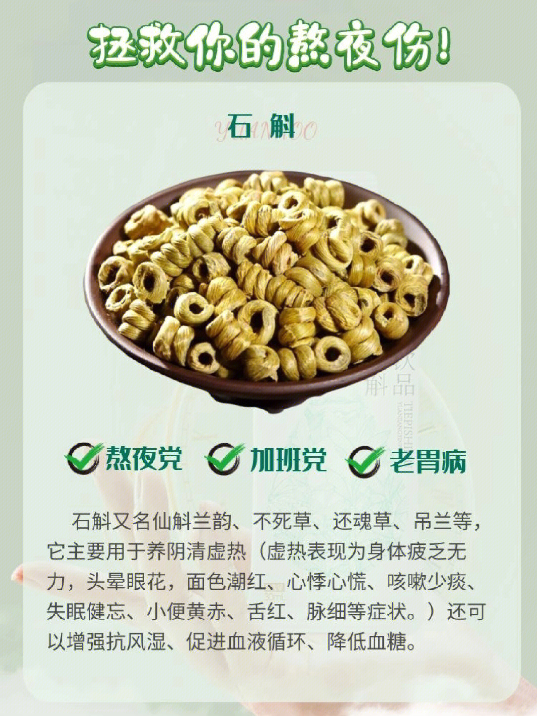 细叶石仙桃的功效图片