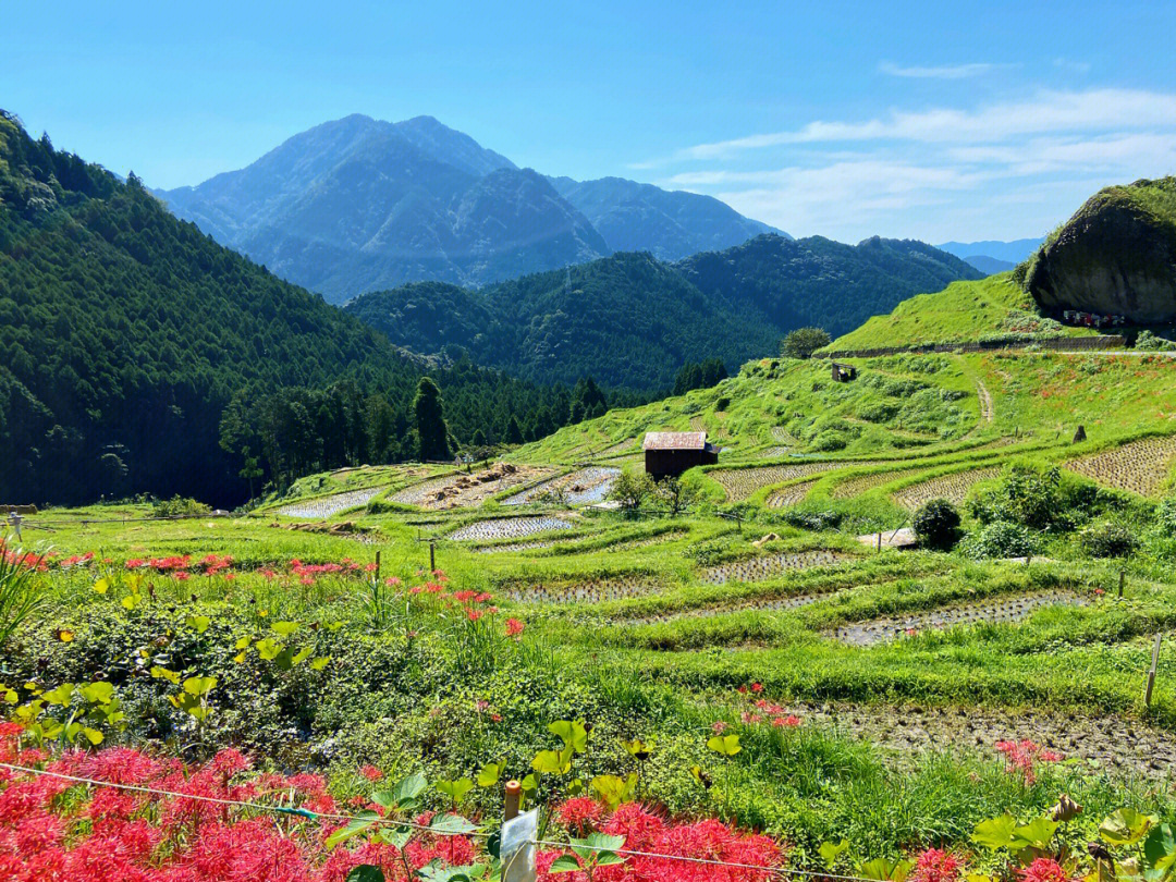 和歌山白滨图片